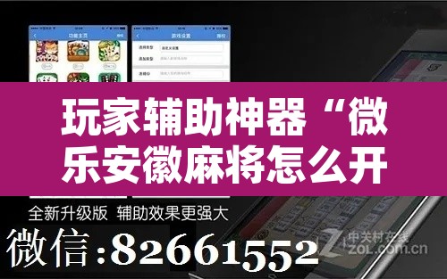 玩家辅助神器“微乐安徽麻将怎么开挂吗”附辅助神器开挂脚本详细步骤