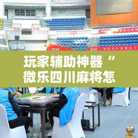 玩家辅助神器“微乐四川麻将怎么控制输赢”其实确实有挂