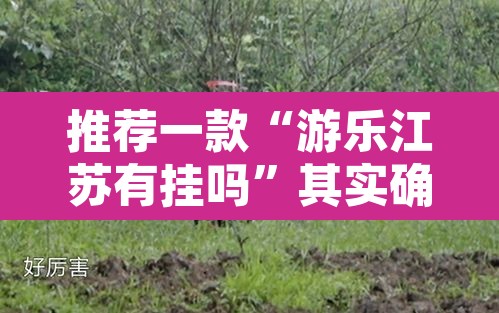 推荐一款“游乐江苏有挂吗”其实确实有挂