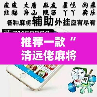 推荐一款“清远佬麻将有挂吗”(透视挂)辅助透视教程