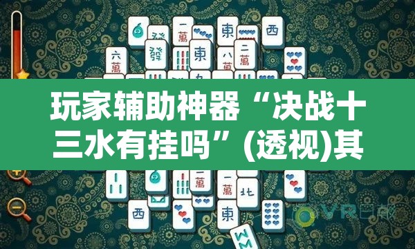 玩家辅助神器“决战十三水有挂吗”(透视)其实确实有挂