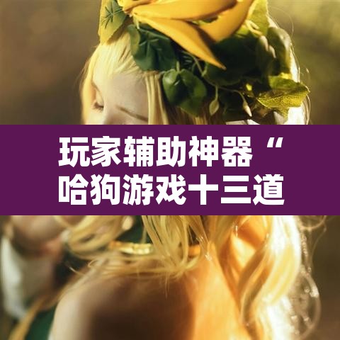 玩家辅助神器“哈狗游戏十三道怎么才能赢”其实确实有挂