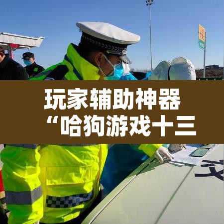 玩家辅助神器“哈狗游戏十三道怎么才能赢	”其实确实有挂