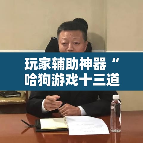 玩家辅助神器“哈狗游戏十三道怎么才能赢”其实确实有挂