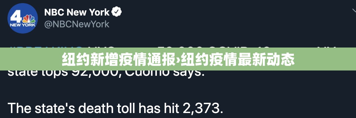 纽约新增疫情通报›纽约疫情最新动态