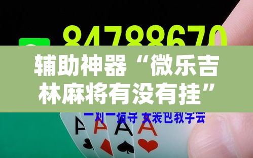 辅助神器“微乐吉林麻将有没有挂	”(透视挂)辅助透视教程