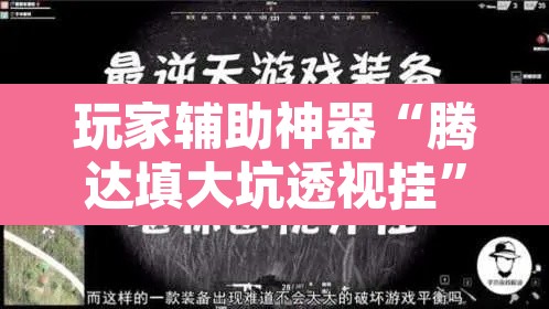 玩家辅助神器“腾达填大坑透视挂	”其实确实有挂