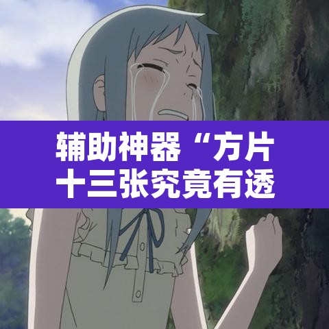 辅助神器“方片十三张究竟有透视挂吗”附辅助神器开挂脚本详细步骤