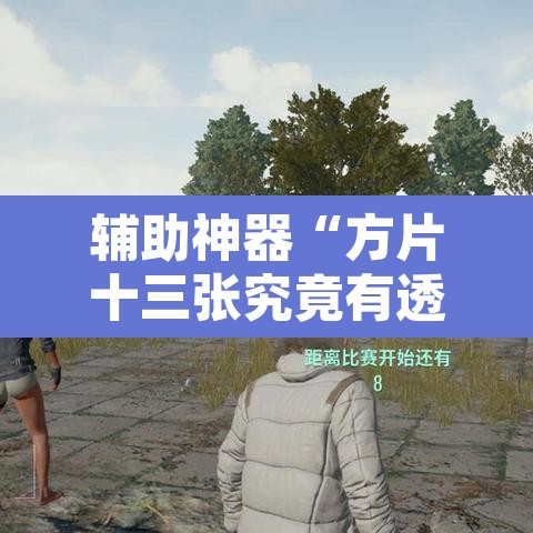 辅助神器“方片十三张究竟有透视挂吗”附辅助神器开挂脚本详细步骤