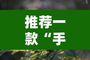 推荐一款“手机麻将必赢神软件”(透视挂)辅助透视教程
