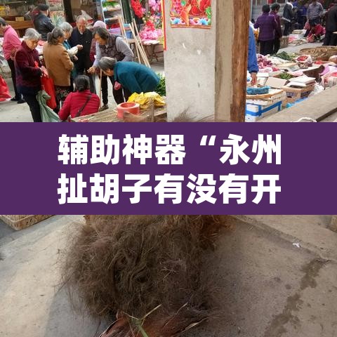 辅助神器“永州扯胡子有没有开挂器”(透视挂)辅助透视教程