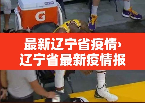 最新辽宁省疫情›辽宁省最新疫情报告头条