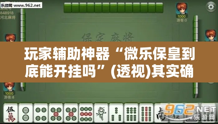 玩家辅助神器“微乐保皇到底能开挂吗	”(透视)其实确实有挂
