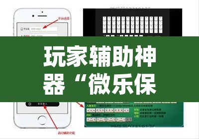 玩家辅助神器“微乐保皇到底能开挂吗”(透视)其实确实有挂