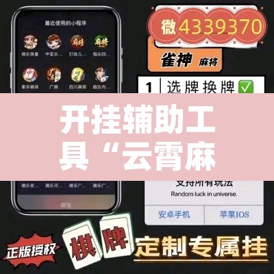 开挂辅助工具“云霄麻将有挂吗可以开挂吗”其实确实有挂