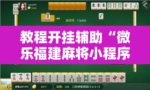 教程开挂辅助“微乐福建麻将小程序挂”开挂辅助脚本+详细开挂安装教程