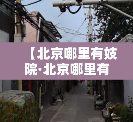 【北京哪里有妓院·北京哪里有卖淫的小姐】