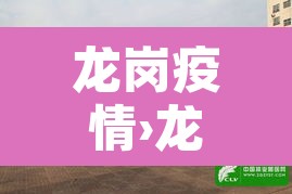 龙岗疫情›龙岗疫情情况