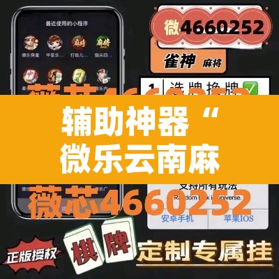 辅助神器“微乐云南麻将万能开挂器	”开挂辅助脚本+详细开挂安装教程
