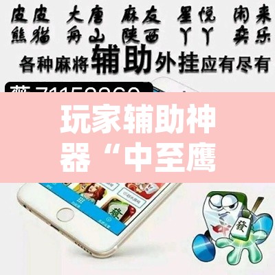 玩家辅助神器“中至鹰潭麻将免费挂	”(透视挂)辅助透视教程