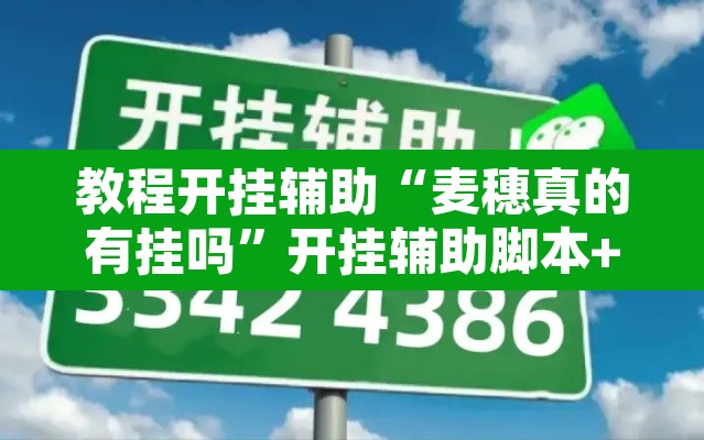 教程开挂辅助“麦穗真的有挂吗”开挂辅助脚本+详细开挂安装教程
