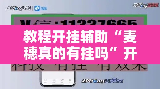 教程开挂辅助“麦穗真的有挂吗	”开挂辅助脚本+详细开挂安装教程