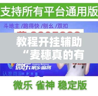 教程开挂辅助“麦穗真的有挂吗	”开挂辅助脚本+详细开挂安装教程