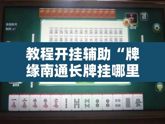 教程开挂辅助“牌缘南通长牌挂哪里能买”其实确实有挂