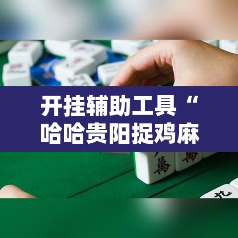 开挂辅助工具“哈哈贵阳捉鸡麻将特点开挂”(透视)其实确实有挂