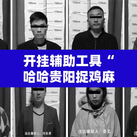 开挂辅助工具“哈哈贵阳捉鸡麻将特点开挂	”(透视)其实确实有挂