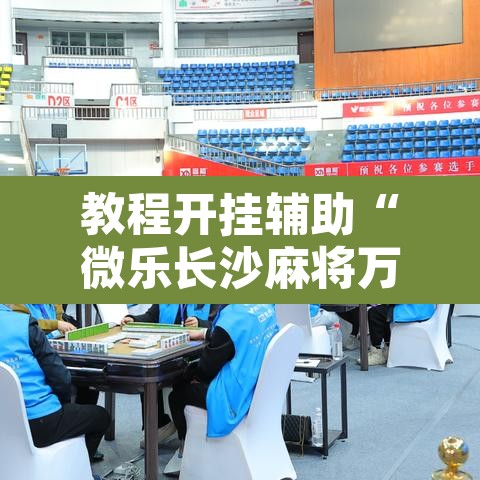教程开挂辅助“微乐长沙麻将万能开挂器通用版”附辅助神器开挂脚本详细步骤