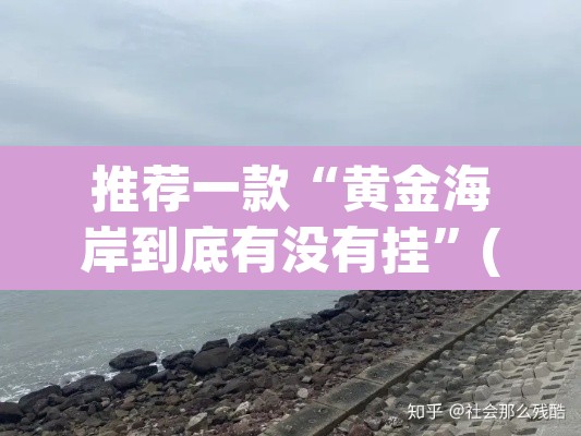 推荐一款“黄金海岸到底有没有挂”(透视挂)辅助透视教程