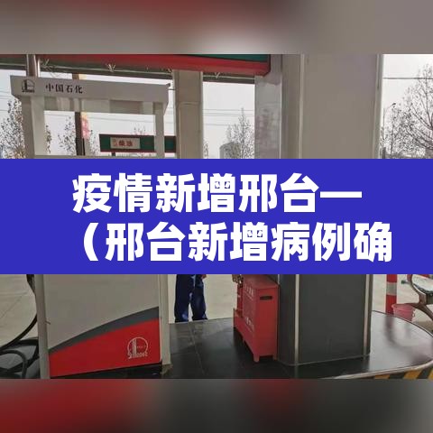 疫情新增邢台—（邢台新增病例确诊）