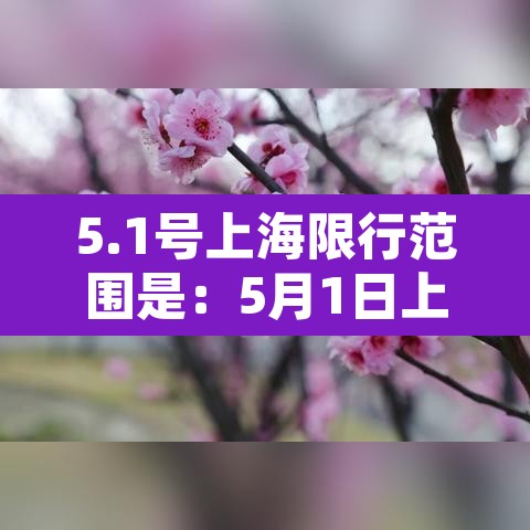 5.1号上海限行范围是：5月1日上海限行