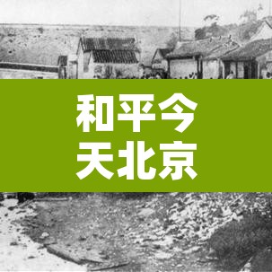 和平今天北京限行几号 → 和平路限行