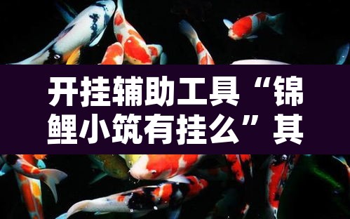 开挂辅助工具“锦鲤小筑有挂么”其实确实有挂