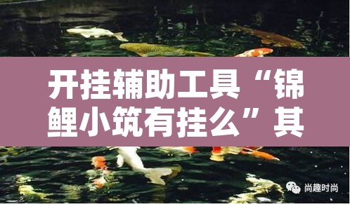开挂辅助工具“锦鲤小筑有挂么”其实确实有挂