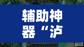 辅助神器“泸州大贰可以开挂吗有挂的	”其实确实有挂