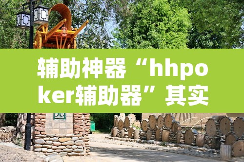 辅助神器“hhpoker辅助器	”其实确实有挂