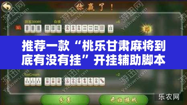 推荐一款“桃乐甘肃麻将到底有没有挂”开挂辅助脚本+详细开挂安装教程
