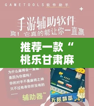 推荐一款“桃乐甘肃麻将到底有没有挂”开挂辅助脚本+详细开挂安装教程