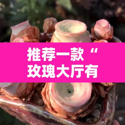 推荐一款“玫瑰大厅有辅助吗”其实确实有挂