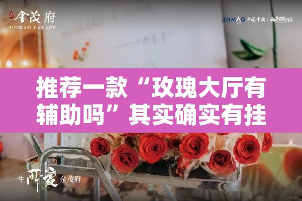 推荐一款“玫瑰大厅有辅助吗”其实确实有挂