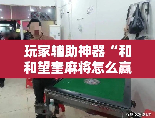 玩家辅助神器“和和望奎麻将怎么赢”(透视)其实确实有挂