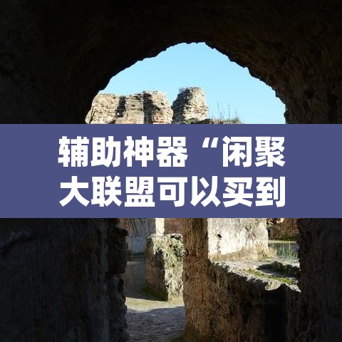 辅助神器“闲聚大联盟可以买到挂吗”(透视挂)辅助透视教程