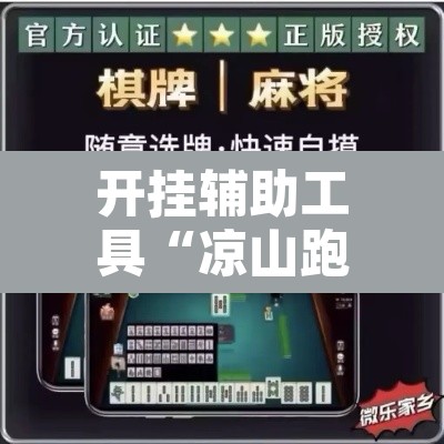 开挂辅助工具“凉山跑得快怎么透视”其实确实有挂
