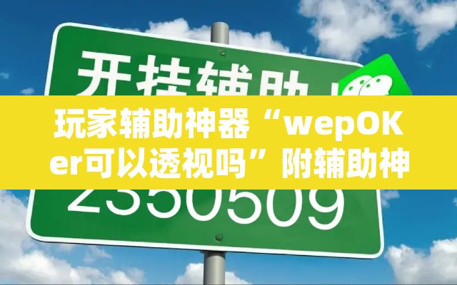 玩家辅助神器“wepOKer可以透视吗”附辅助神器开挂脚本详细步骤