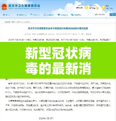 新型冠状病毒的最新消息›新型冠状病毒最新情况消息 新型冠状病毒的最新消息›新型冠状病毒最新情况消息