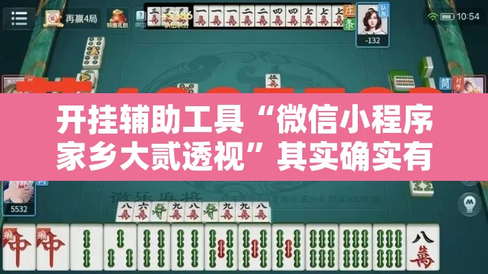 开挂辅助工具“微信小程序家乡大贰透视	”其实确实有挂