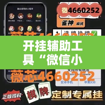 开挂辅助工具“微信小程序家乡大贰透视	”其实确实有挂